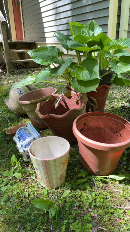 Flower Pots and Misc&hellip;