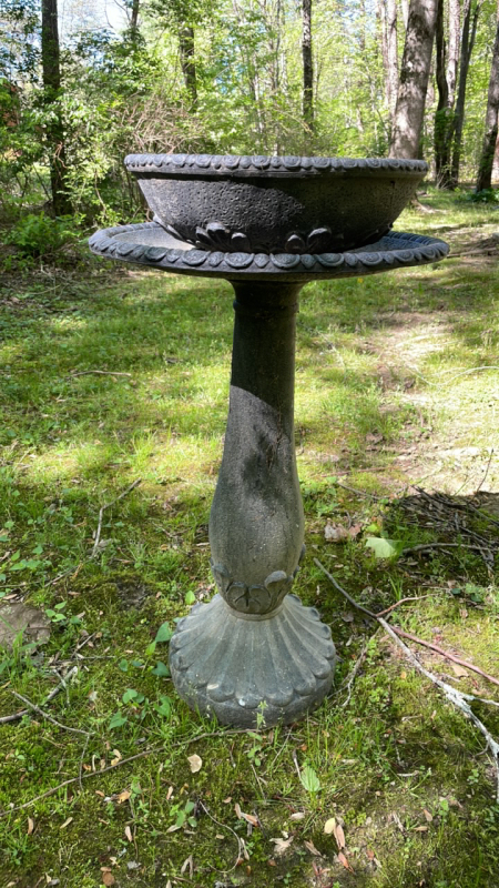 Bird Bath