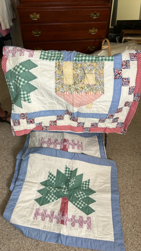 Quilt w/ Shams and Throw Pillow