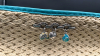Brighton Teal Straw Messenger Bag - 3