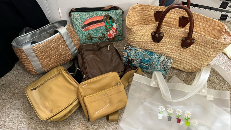 Assorted Hand Bags and Satchels