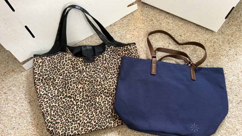 Canvas Totes (2)