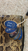G.I.L.I Leather Tote and Snake Print Crossbody - 9