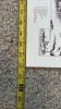 T.H. Payne Co. Chattanooga Print - 7