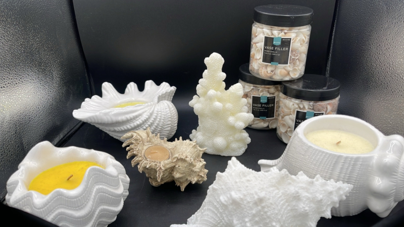 Seashell Candles and Vase Filler