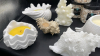 Seashell Candles and Vase Filler - 2