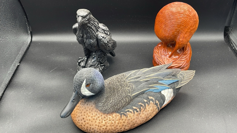 Duck Decoy, Eagle, and Kiwi