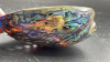 Abalone Iridescent Shell - 9