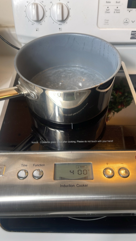 Wolfgang Puck Induction Cooktop