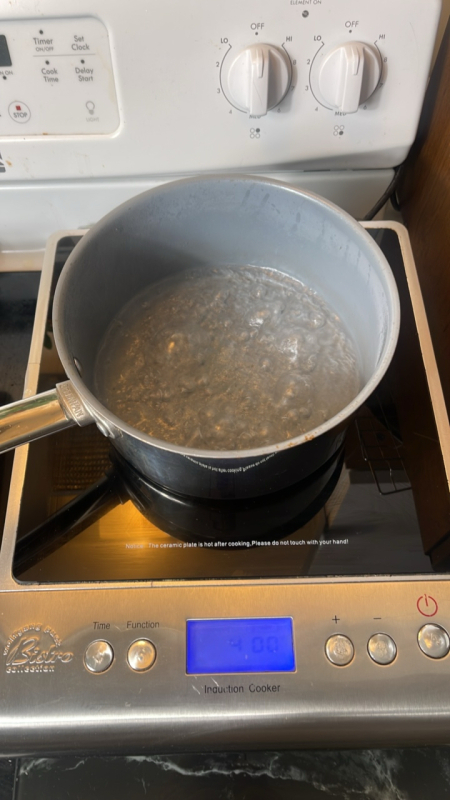 Wolfgang Puck Induction Cooktop