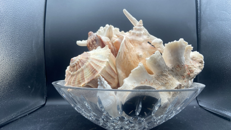 Crystal Bowl w/ Seashell Decor
