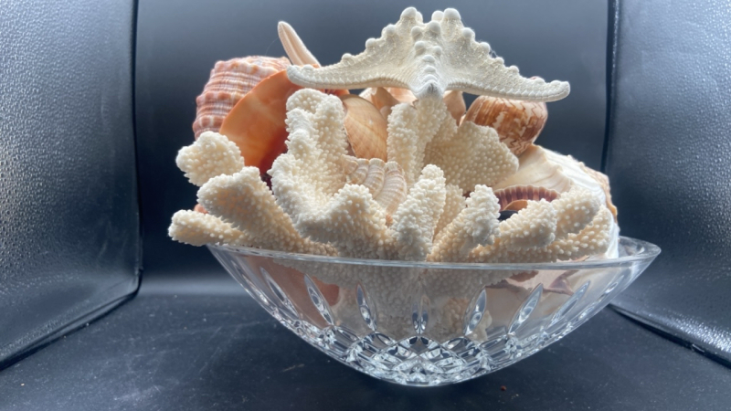 Waterford Crystal Bowl with Seashells