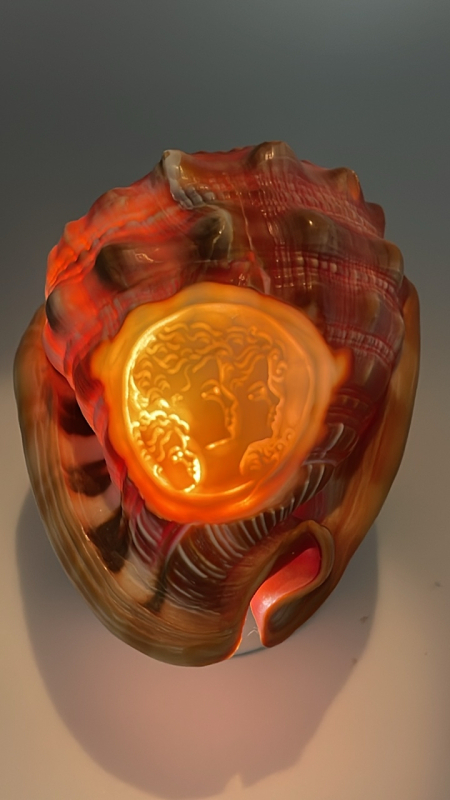 Lg. Cameo Finely Carved Conch Shell