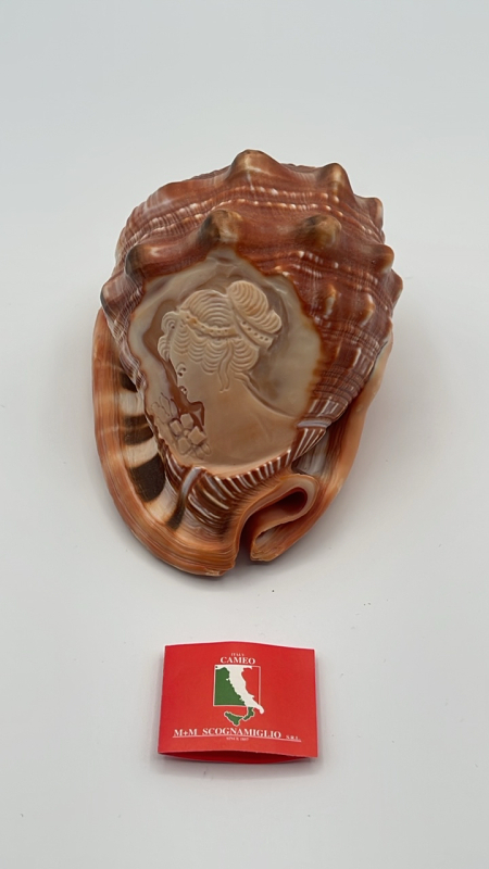 Cameo Carved Conch