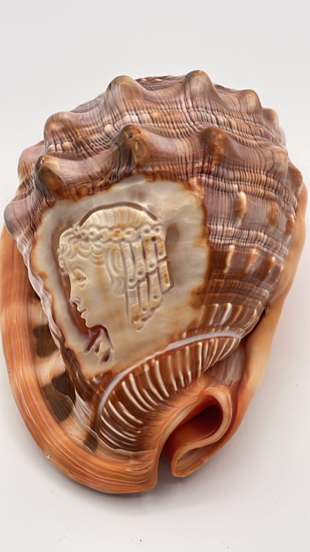 Cameo Carved Conch