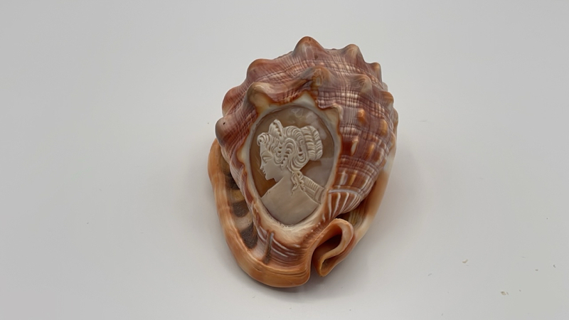 Petite Cameo Carved Shell