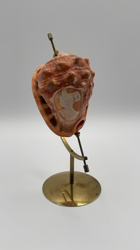 Cameo Carved Conch Shell