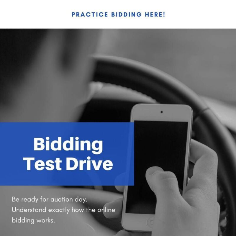 Practice Bidding - Test Drive
