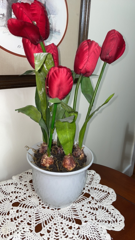 Tulips (6) with Ceramic Pot