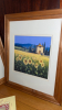 A Dogwood Legend, Sunflowers, Cherish Yesterday, Farm House Pictures - 5