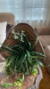 Artificial Arrangements, Wicker Planters & Hanging Planter - 2