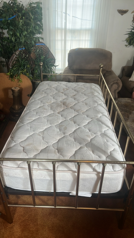 Gold Brass Twin Sized Day Bed