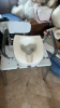 Shower Chair & Toilet Seat - 6