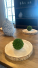 Wood Slab Place Setting w/ Orb Greenery & Blue-White Basket Weave Vase - 2