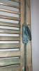 Rustic Wooden Shutter - 3