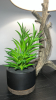 Ceramic Wood Style Table Lamp w/ Shade & Artificial Succulent - 6