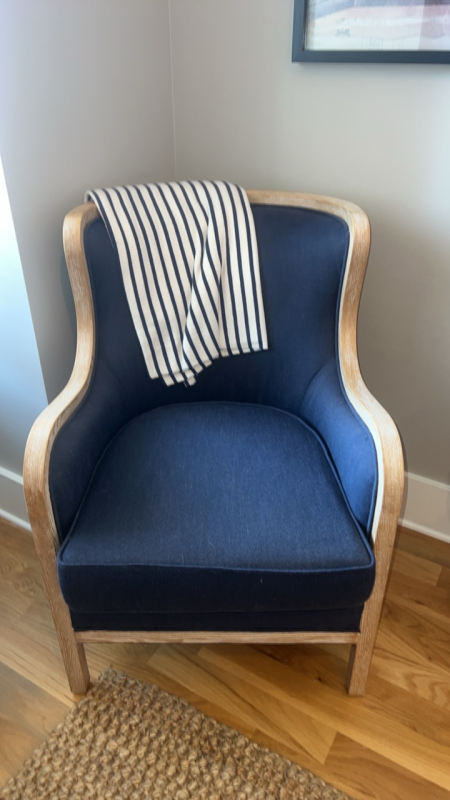 Pier 1 Imports Mid Modern Century Accent Chair