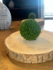 Wood Slab Place Setting w/ Orb Greenery & Blue-White Basket Weave Vase - 8
