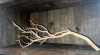 Driftwood Decor - 4