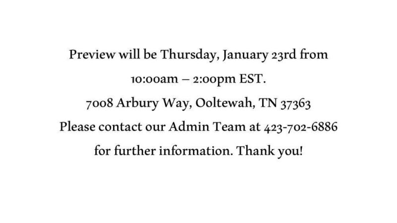 Preview Information