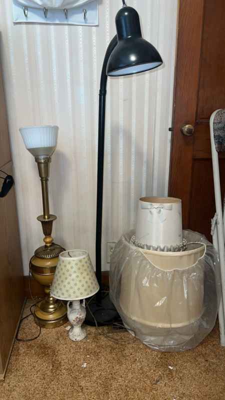 Lamps w/ Shades