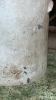 Antique Stoneware 8 Gal. Crock w/ Wooden Canes/Walking Stick - 5