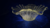 Radiant Glass Bowl & Candy Plate - 9