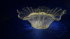 Radiant Glass Bowl & Candy Plate - 10