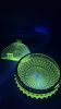 Radiant Glass Candy Dish & Bowl