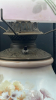 Radiant Glass Parlor Lamp - 15