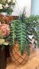 Home Decor - 5