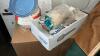 Outdoor & Camping Equipment - 4