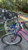 Schwinn Bicycles (2) - 10