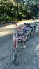 Schwinn Bicycles (2) - 11