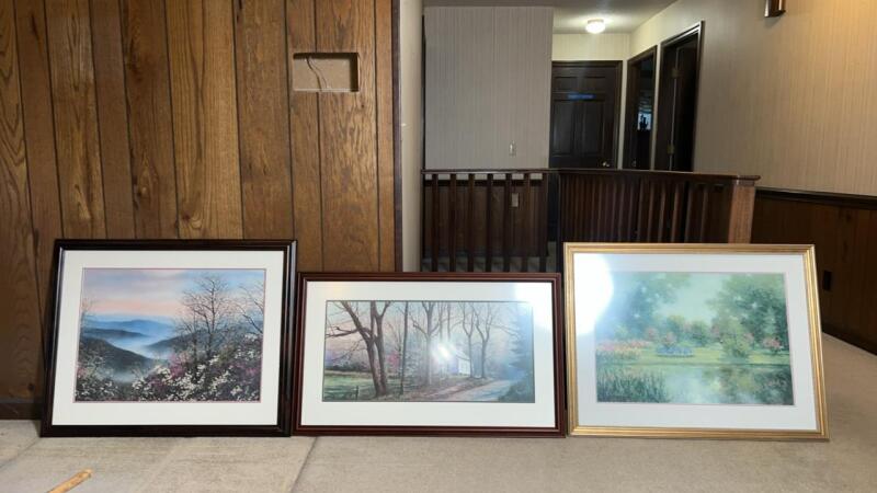 Framed artwork (3)
