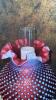 Cranberry Opalescent Hobnail Gone With The Wind Parlor Lamps (2) - 14
