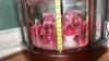 Cranberry Opalescent Daisy & Fern Water Pitcher w/ Glasses (6) & Additional Hand Baskets - 37