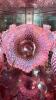 Fenton Plum Opalescent Hand Basket & Cranberry Opalescent Ruffled Edge Vases & Bowl - 5