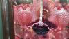 Fenton Plum Opalescent Hand Basket & Cranberry Opalescent Ruffled Edge Vases & Bowl - 18