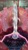 Fenton Plum Opalescent Hand Basket & Cranberry Opalescent Ruffled Edge Vases & Bowl - 19